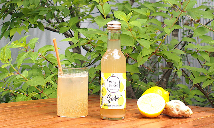 Fruits Soda 高知ジンジャー、広島レモン