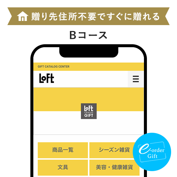 HAA for bath 日々 入浴剤 (10個入り) e-order gift