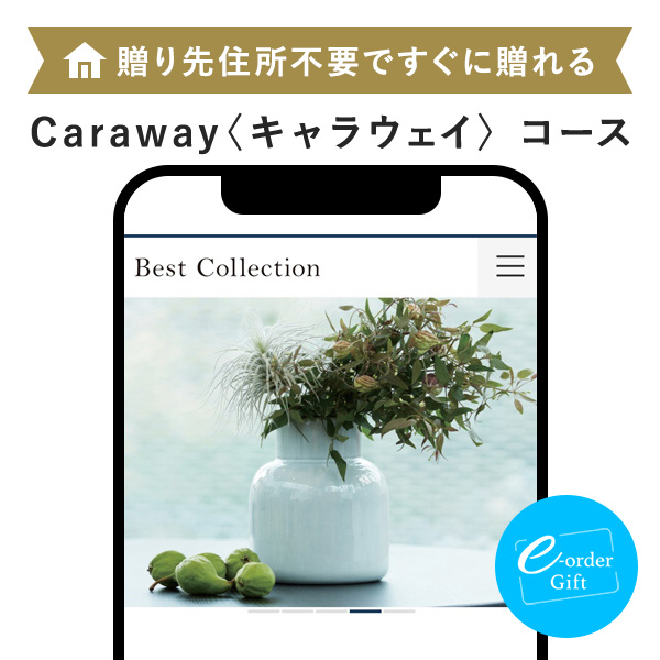 作山窯 / Sara Oval M オーバル プレートペア 木箱入り(Cream、Navy）e-order gift